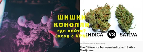 PSILOCYBIN Переславль-Залесский